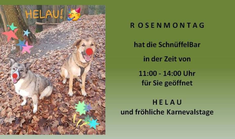 Karneval Düsseldorf Helau