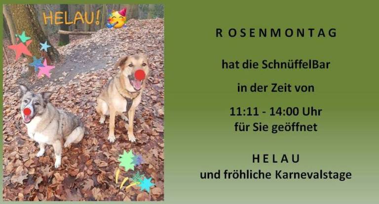 Karneval Düsseldorf Helau