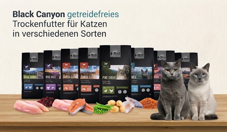 Black Canyon getreidefreies Trockenfutter für Katzen