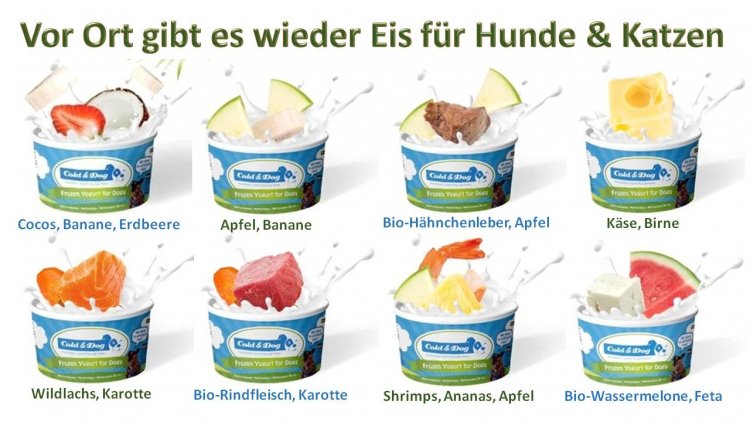 Eis für Hunde und Katzen