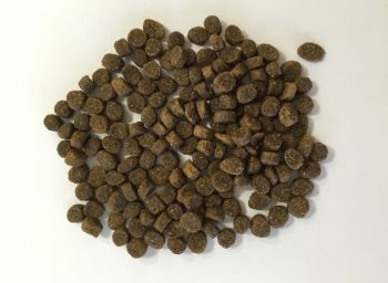 Bellfor Huhn Junior FREILAND - 9x 7,5kg