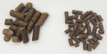 Dr. Ziegler's Trockenfutter Ente & Kartoffel Mini - 5kg