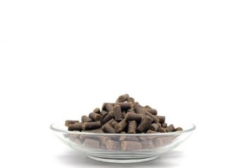 Bellfor Lachs Wildbach-Happen Soft - 200g