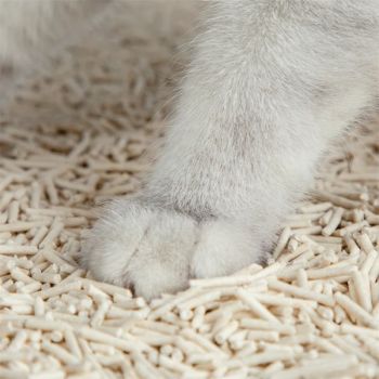 Versapet TOFU Natur Katzenstreu - 10 Liter