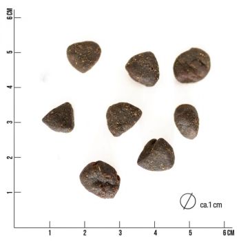 Tales & Tails LammBa Zamba - 3x 4kg