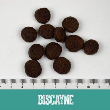 Black Canyon Lachs & Huhn Biscayne - 5kg