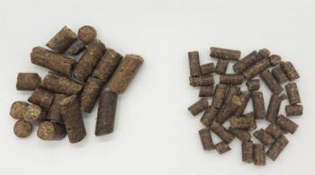 Dr. Zieglers Rind & Hirse Mini - 1kg