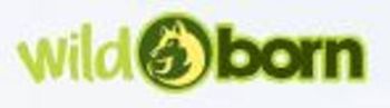.Wildborn Sparpaket Menü-Dosen - 30x 800g