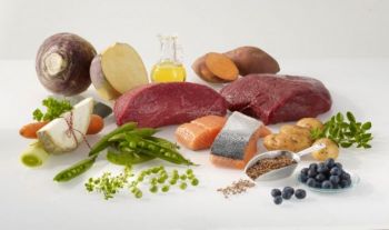 WESTHO Trockenfutter Rind, Wild, Lachs Tirol - 7,5kg
