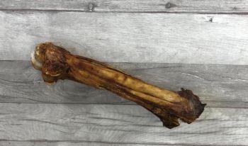 Pferd Bein Knochen - 1 Stück