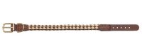 DOGIUS Halsband Newton M 45cm