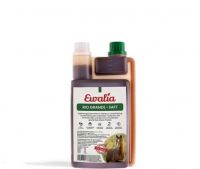 Ewalia Pferd Rio Grande-Saft - 1 Liter