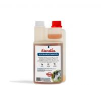 Ewalia Hund Schwarzkümmelöl - 500ml
